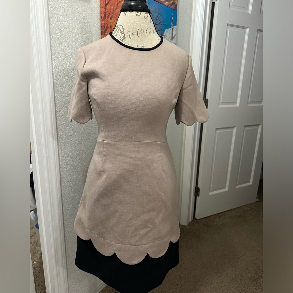 Kate Spade Taupe and Black Midi Dress